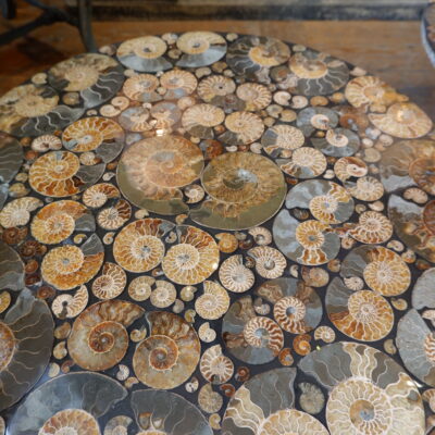 Table basse plateau en ammonites sur base en métal laque noir