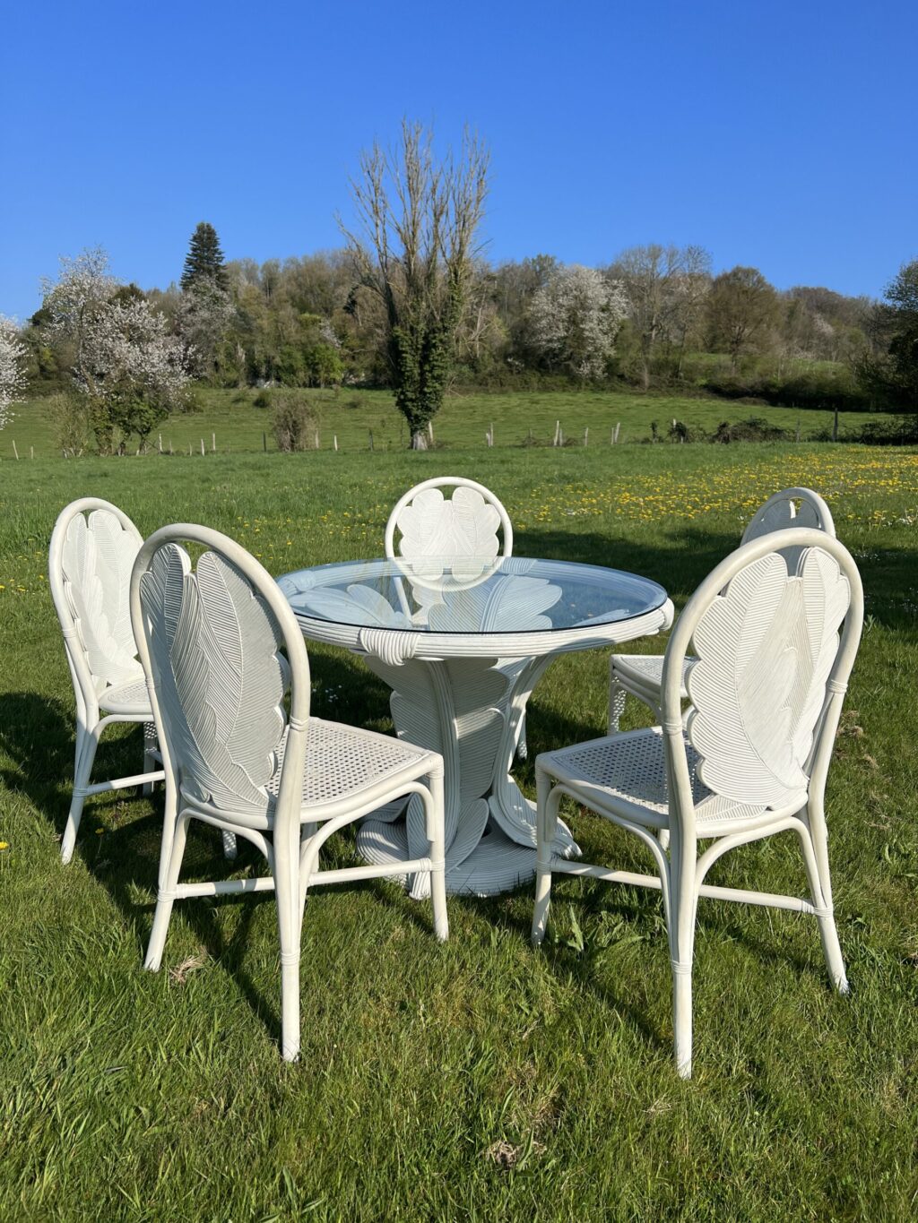 ensemble en rotin table +5 chaises