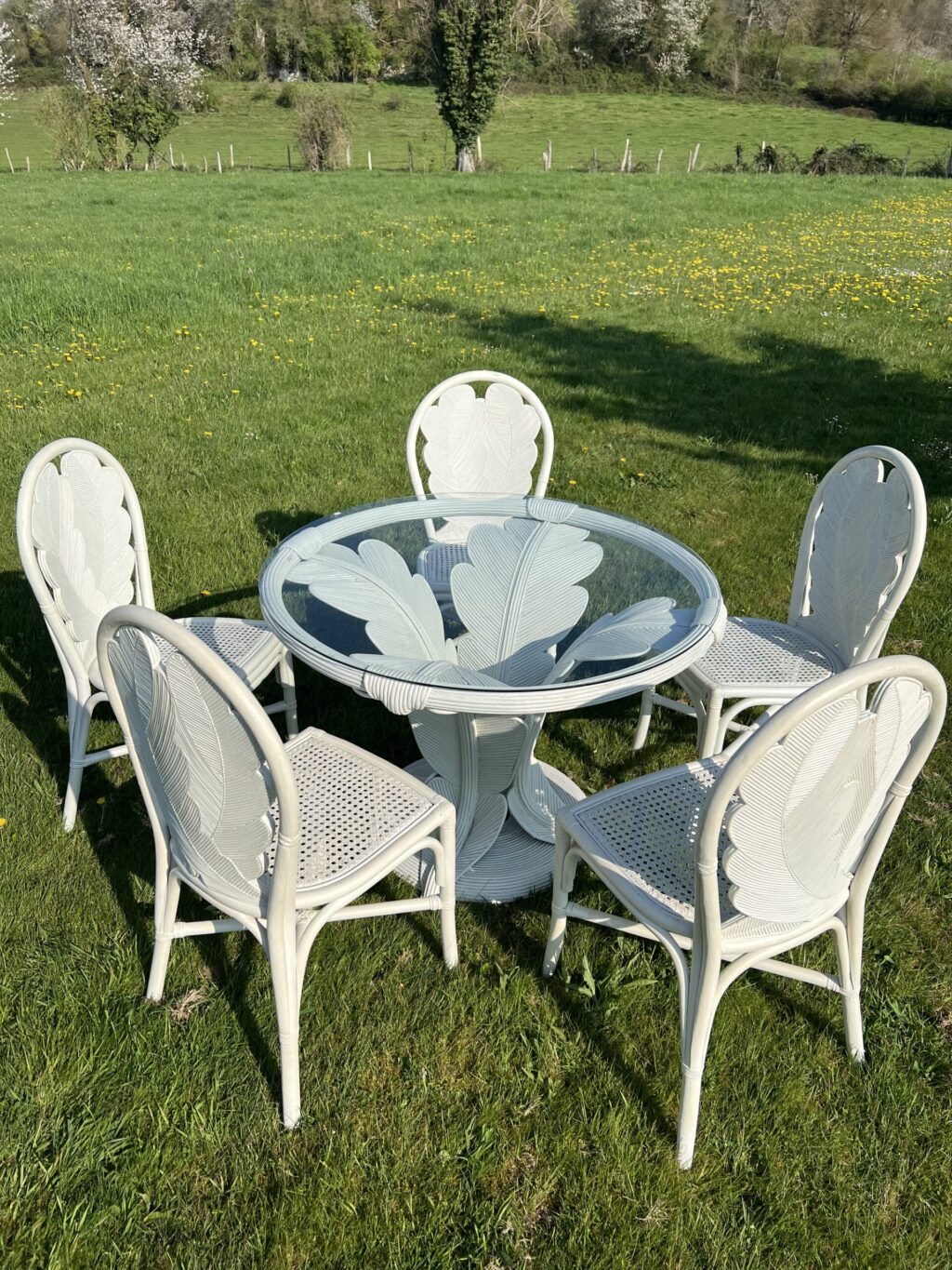 ensemble en rotin table +5 chaises