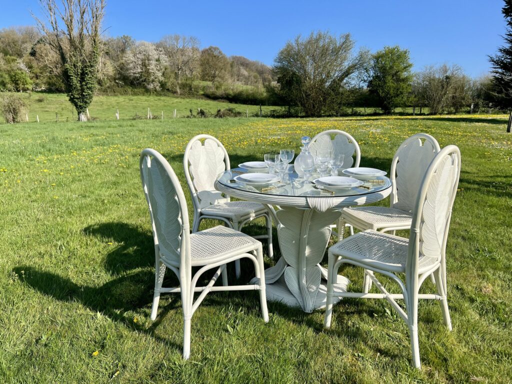 ensemble en rotin table +5 chaises