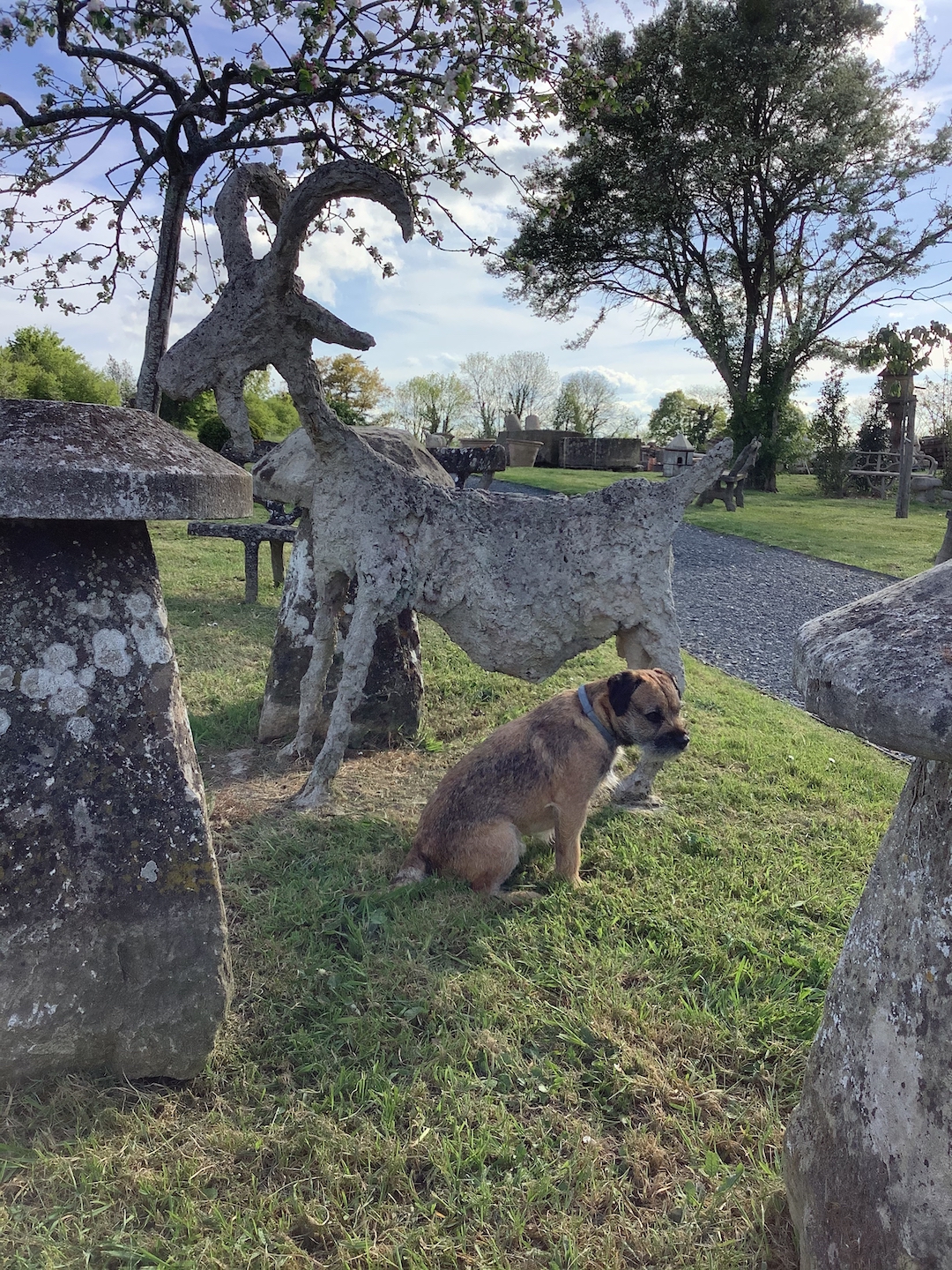 Cement goat