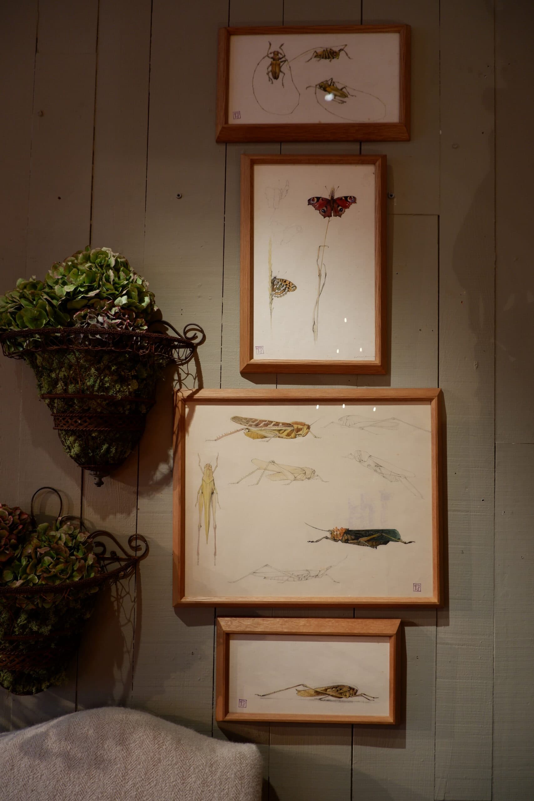 Quatre dessins d’étude au crayon et à l’aquarelle représentant des insectes. Signés du cachet d’atelier de Jean DURAND